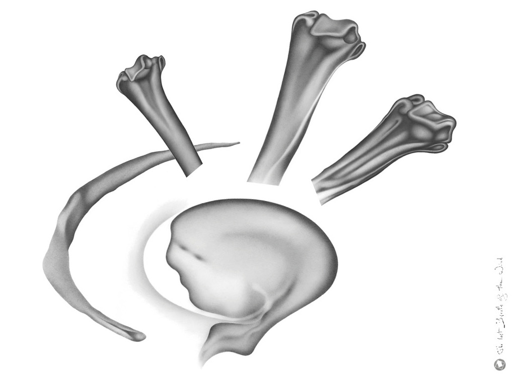 Last Breath of the Wind